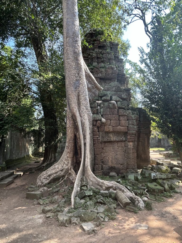 Rejsen til Cambodia: en oplevelse fyldt med kultur, natur og smil - billede 2 fra Cambodia