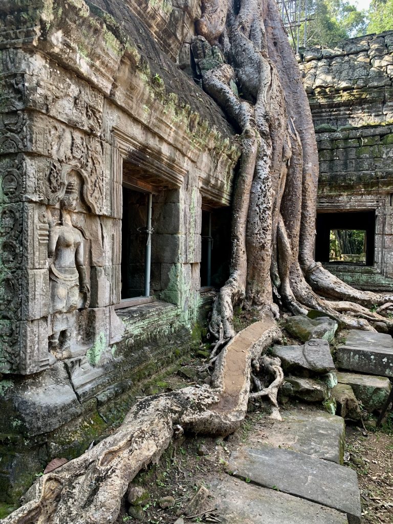 Rejsen til Cambodia: en oplevelse fyldt med kultur, natur og smil - billede 3 fra Cambodia