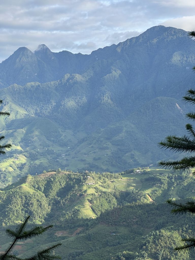 Vietnam: en rejse gennem historie, natur og kultur - billede 9 fra Vietnam