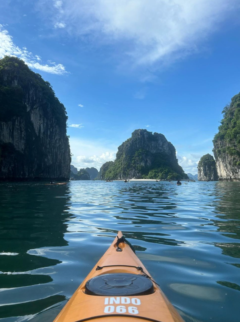 Vietnam: en rejse gennem historie, natur og kultur - billede 3 fra Vietnam