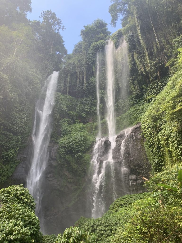 Vandfald i junglen på Bali - billede 9 fra Bali