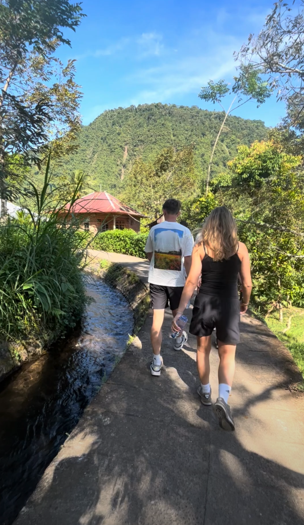 Vandfald i junglen på Bali - Bali